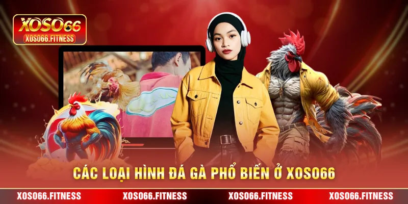 Các loại hình Đá Gà phổ biến ở XoSo66